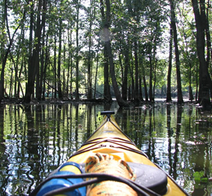  Kayaking through the Skokie Lagoons in Illinois 